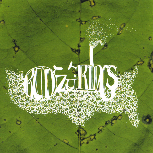 Kudzu Kings cover