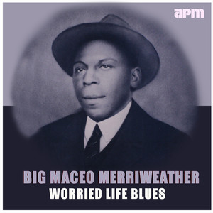 Worried Life Blues cover