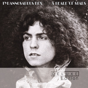 A Beard Of Stars (Deluxe Edition) album