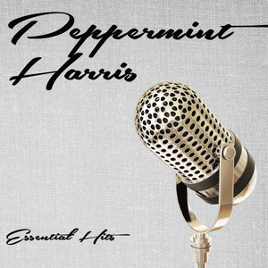 Essential Hits cover