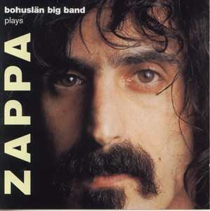 Plays Zappa cover