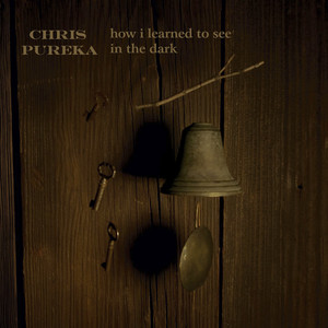 How I Learned to See in the Dark cover