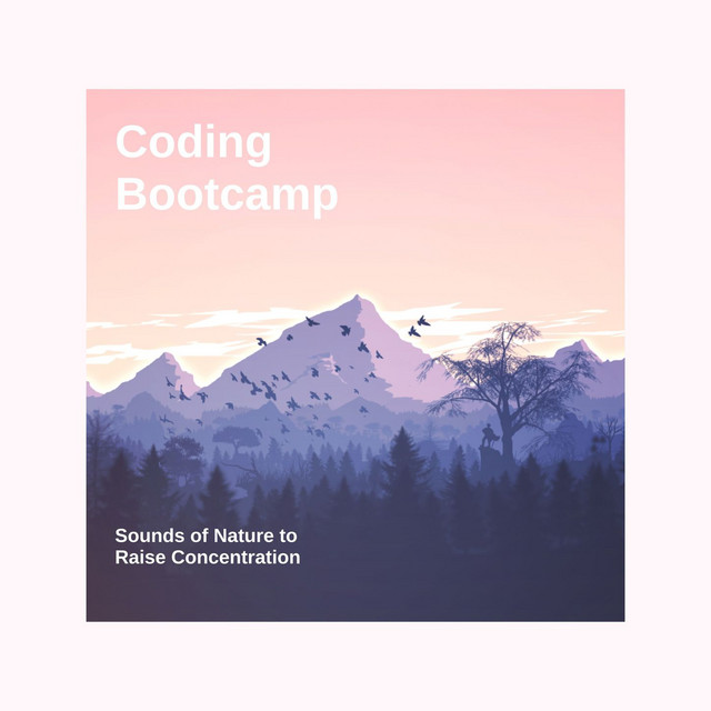 Bootcamp Photo