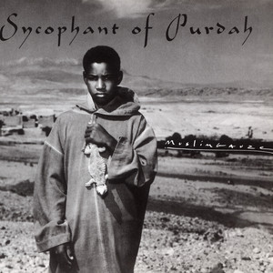 Sycophant of Purdah cover