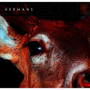 Dirt Urchins - Murr Remix by Hermans, Murr