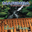 Marimba de Zeferino Hermanos Nandayapa