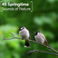 45 Springtime Sounds of Nature cover