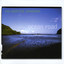 Ocean Road Albumcover