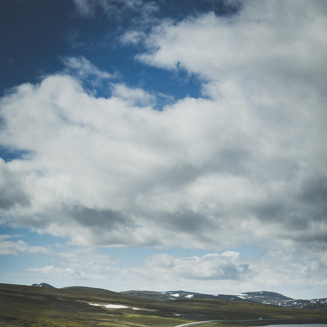 Sitting Duck Artist | Chillhop