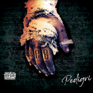 Pedigrí cover