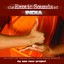 The Exotic Sounds of India Albumcover