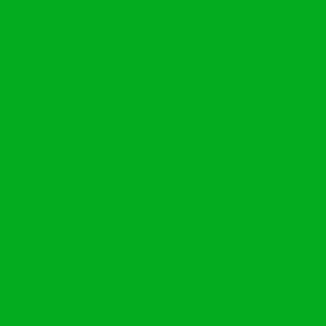 Grün cover
