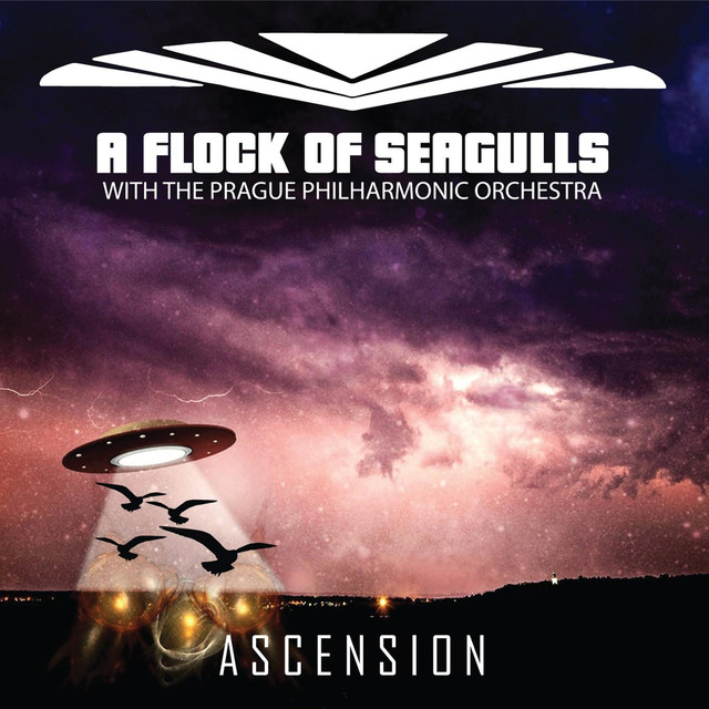 A Flock Of Seagulls Wishing Extended Version