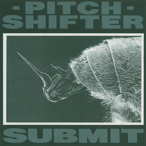 Submit album