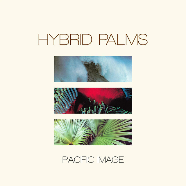 Hybrid Palms Photo
