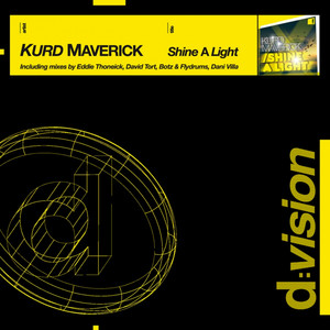 Shine a Light cover