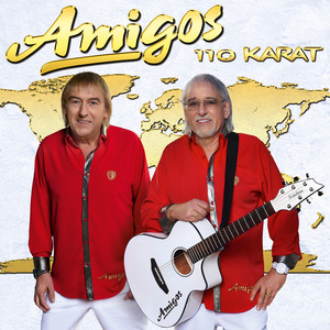110 Karat cover