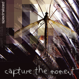 Capture the Moment cover