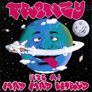 It's A Mad Mad World cover