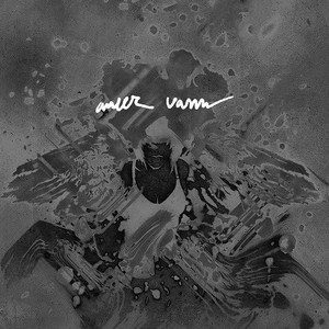 Ameer Vann