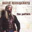 The Pattern Albumcover