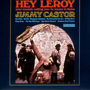 Hey Leroy cover