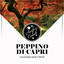 L'Autunno Non È Triste cover