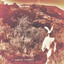 True North Albumcover