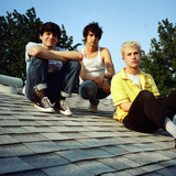 Wallows profile
