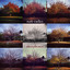 Morphoses Albumcover