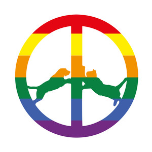 Rainbow Edition cover