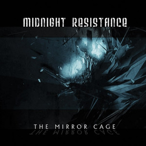The Mirror Cage cover