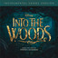 Into the Woods (Instrumental Songs Version) cover