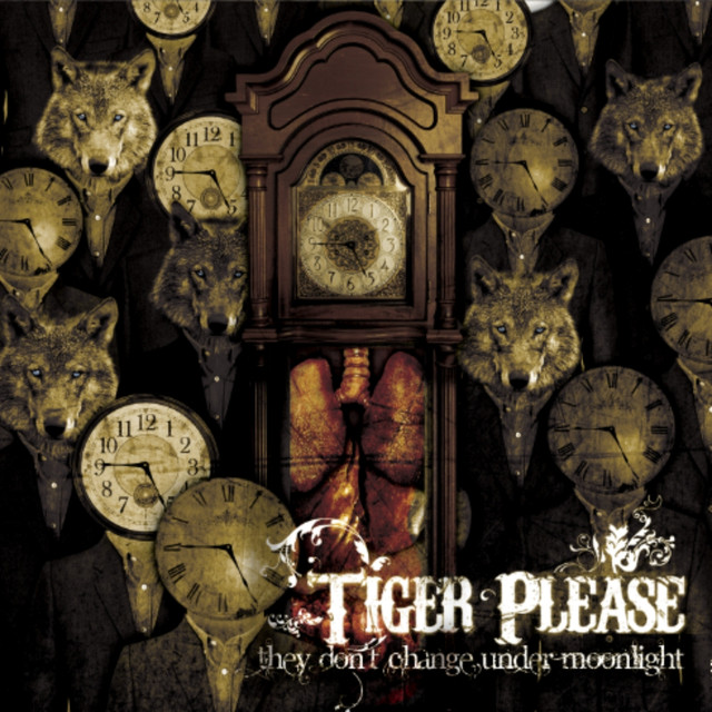 Tiger Please Photo