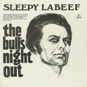 The Bull's Night Out cover