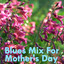 Blues Mix For Mother's Day cover
