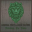 Admiral Tibet & Louie Culture Defending the Roots cover