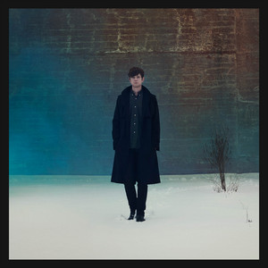 Voyeur cover