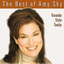 The Best of Amy Sky Karaoke Style Tracks cover