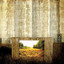 Seeds cover