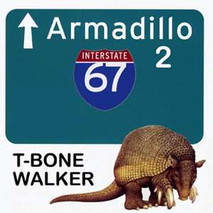 Armadillo 2 album