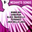 Megahits Songs, Vol. 2 Albumcover