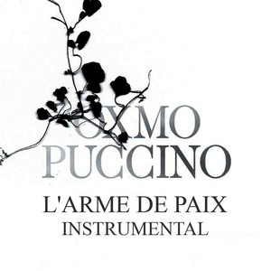 L'Arme de paix (instrumental) album