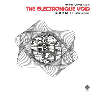 The Electronique Void: Black Noise (Instrumental) album