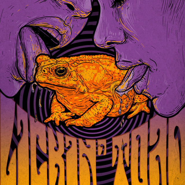 Lickin' Toad Photo