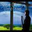 World Citizen cover