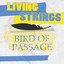 Bird Of Passage cover