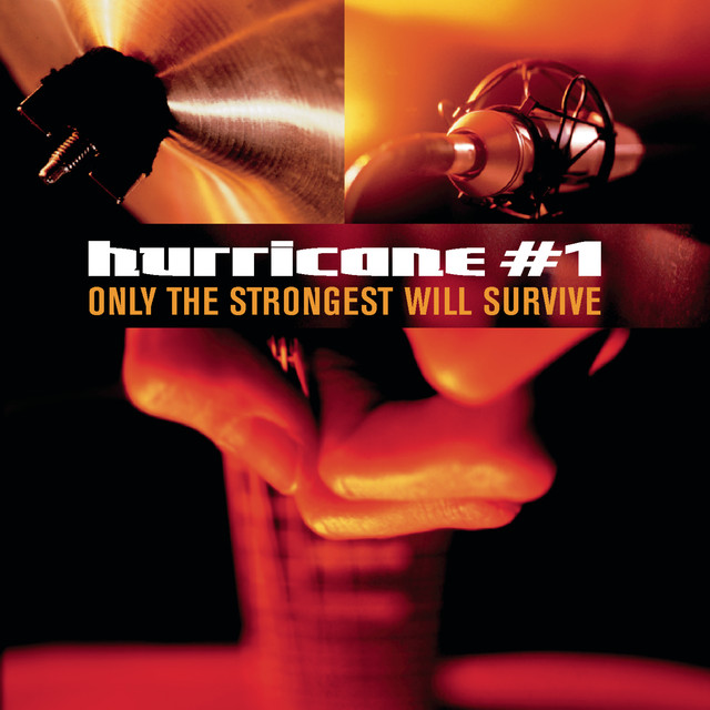 Only The Strongest Will Survive cover