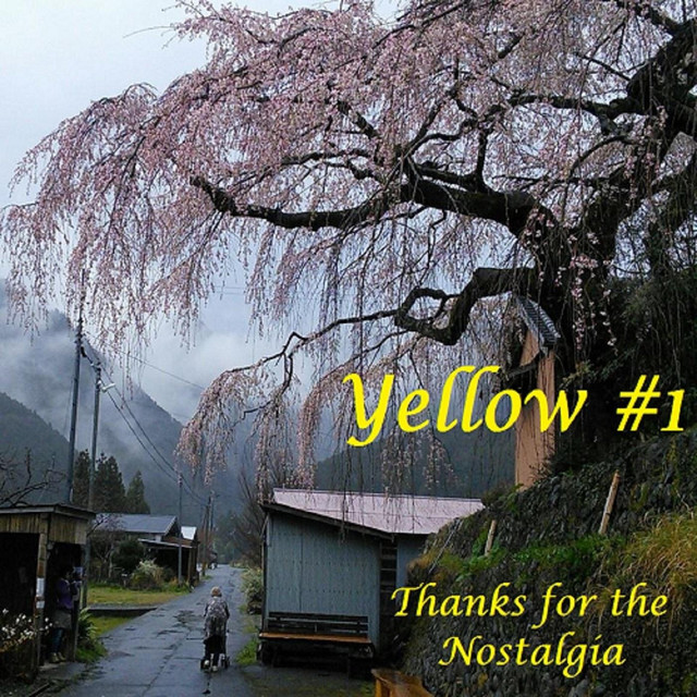 Yellow #1 Photo