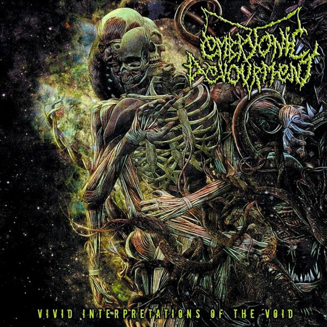Vivid Interpretations Of The Void cover